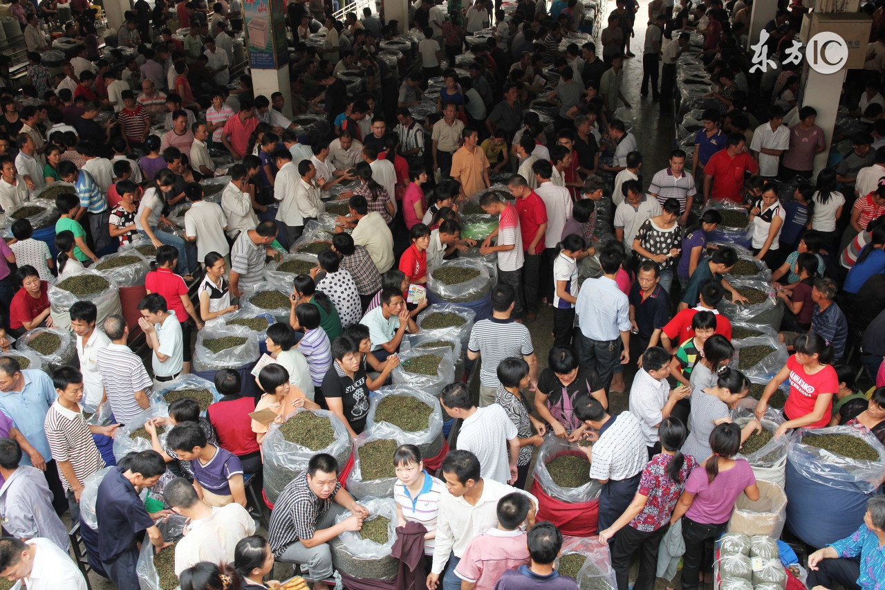 铁观音为什么要安溪的才最正宗,安溪铁观音是属于福建的吗