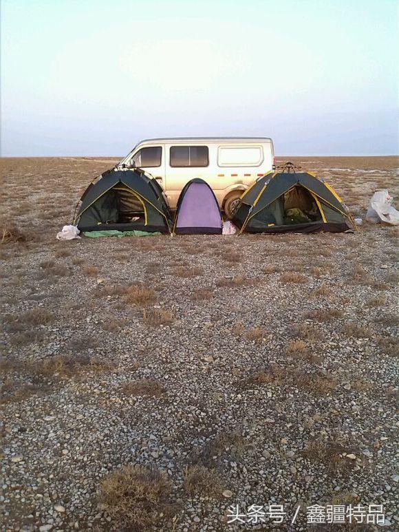 去新疆戈壁滩上捡金丝玉石头视频,宝石光金丝玉戈壁滩