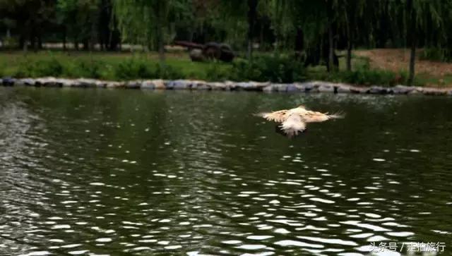 滁州游玩攻略潮玩街区,滁州最值得玩的地方