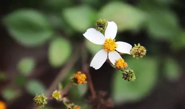 杭州人看看怎么样花最少的钱清理血管，看懂了能够教身边的人