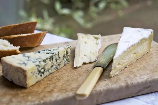 陷阱里的奶酪到底是个什么东西？