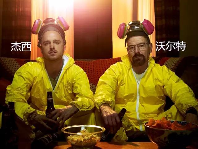 疯狂动物城那些你不知道的细节,疯狂动物城到底值得一去吗