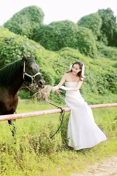 那些文艺婚纱照是什么样的,最推荐的婚纱照类型是什么