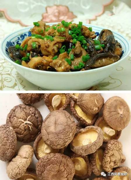 江西省奉新县旅游景点介绍视频,江西省奉新县旅游景点有哪些