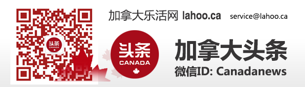 自动演奏施坦威钢琴,施坦威自动演奏钢琴有哪些型号