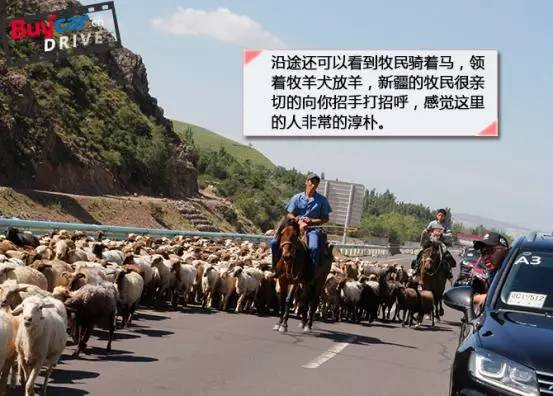 远征版途锐,远征致敬