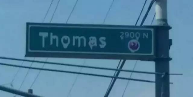 超可爱的宠物蜥蜴,这只宠物太可爱了抖音