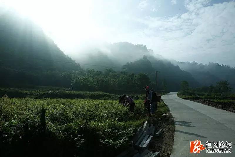 传说中的世外桃源：走进千年土家长寿村
