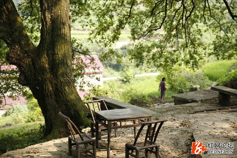 传说中的世外桃源：走进千年土家长寿村