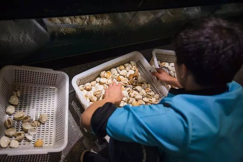 100元吃海鲜自助！不限量！敞开吃！红虾三文鱼象拔蚌银鳕鱼……我要把武林路这家海鲜渔市吃到空！