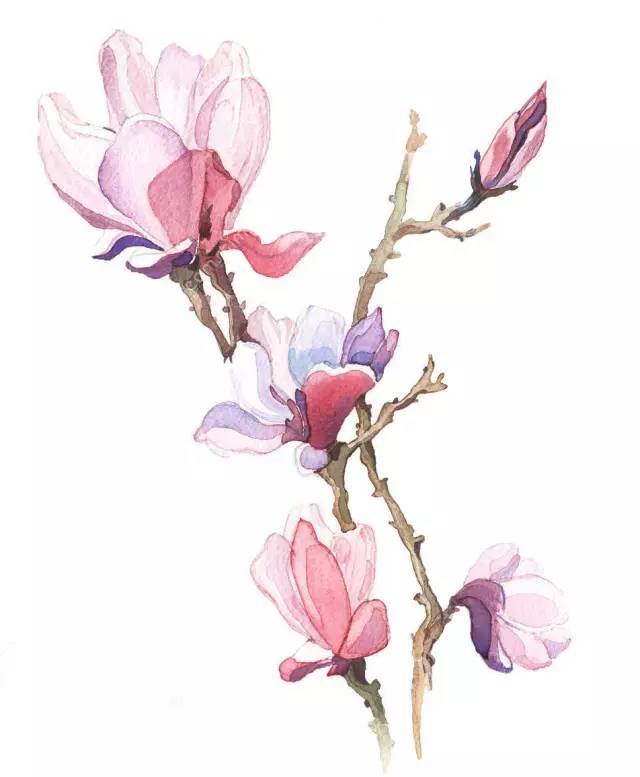 邛崃市2019年优秀教师,2017邛崃优秀青年教师