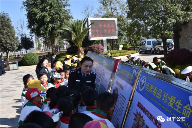 禄丰的父老乡亲们，我们需要您的客观评价！