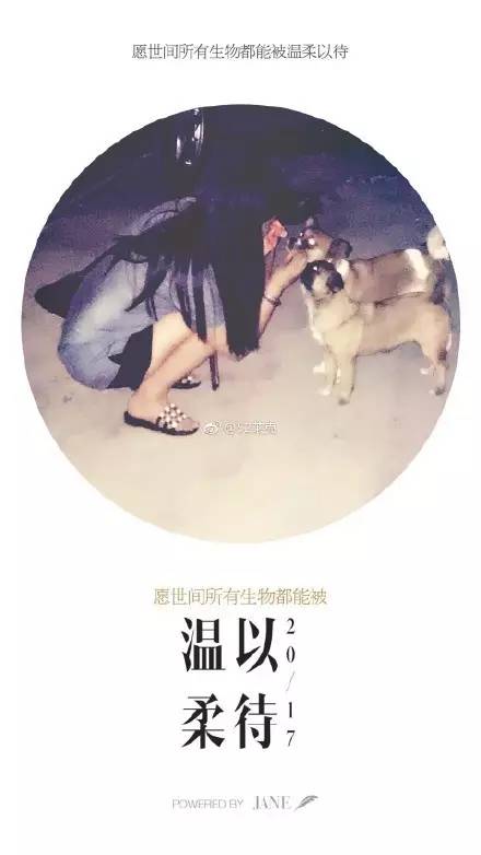 中华田园犬中颜值比较高的,中华田园犬颜值天花板