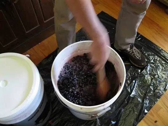 怎么吃葡萄不吐葡萄皮呢,如何吃葡萄不吐葡萄皮