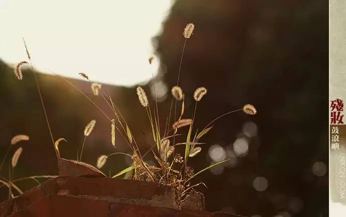鼓浪屿申遗过程,鼓浪屿申遗40年告捷了吗