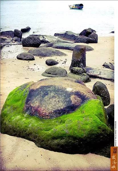 鼓浪屿申遗过程,鼓浪屿申遗40年告捷了吗