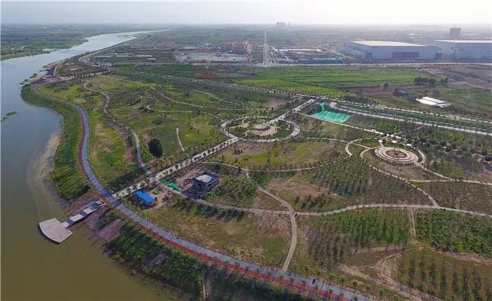 咸阳美丽的渭河湿地公园,咸阳生态湿地公园