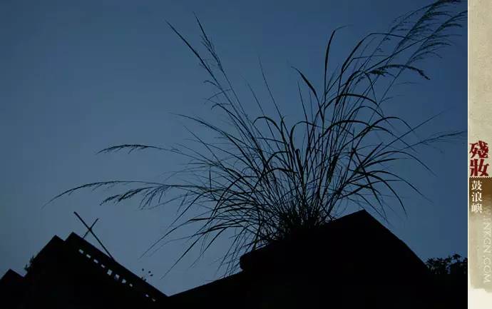 鼓浪屿申遗过程,鼓浪屿申遗40年告捷了吗