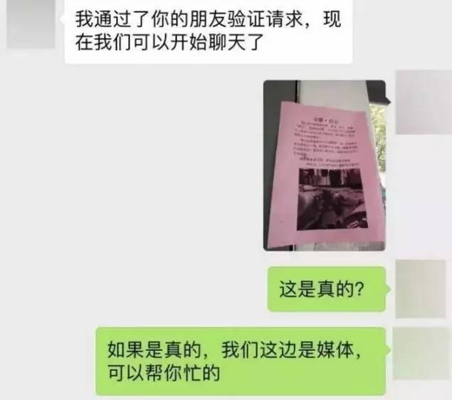 苏州吴中区寻猫启事粉色铃铛,丢猫寻猫启事苏州