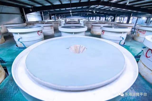 东海硅工业,提供免费检测服务