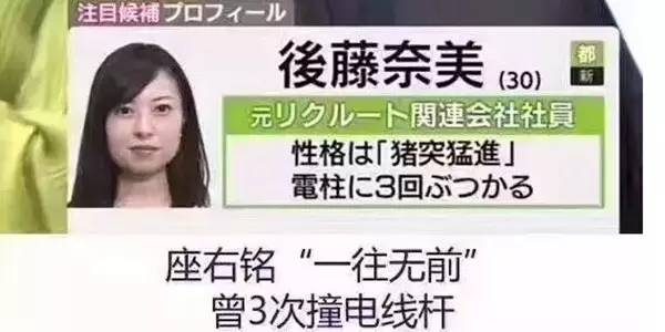 超可爱的宠物蜥蜴,这只宠物太可爱了抖音