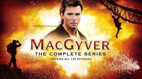 超可爱的宠物蜥蜴,这只宠物太可爱了抖音