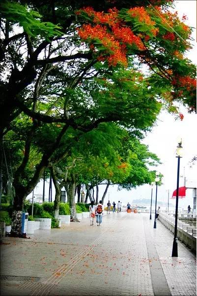 鼓浪屿申遗过程,鼓浪屿申遗40年告捷了吗