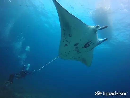 最合适度假的海岛小众,最合适度假的小众海岛