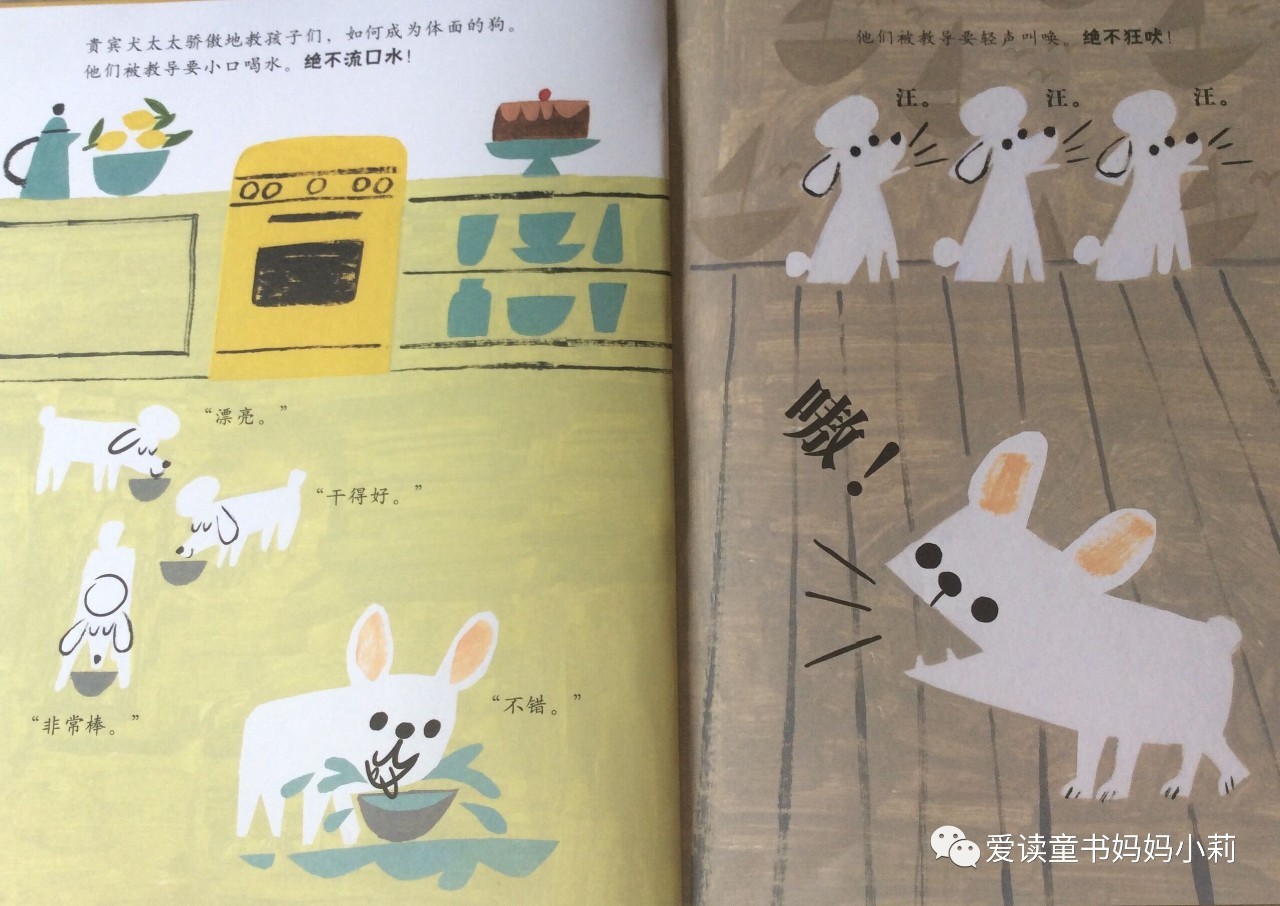 农场主，家庭主妇，音乐家，巴菲特为什么不让孩子继承自己的商业帝国