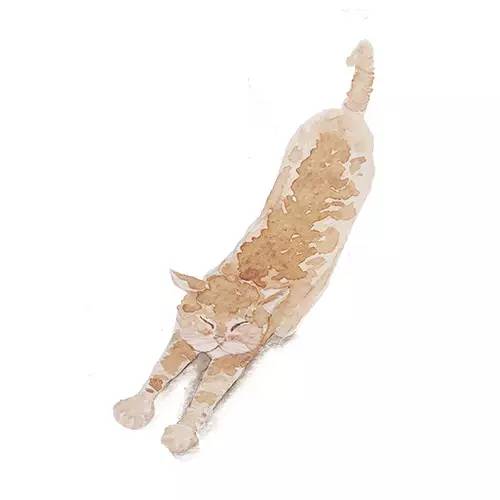 上海最新保健品神药,上海浦东医院儿科常用药