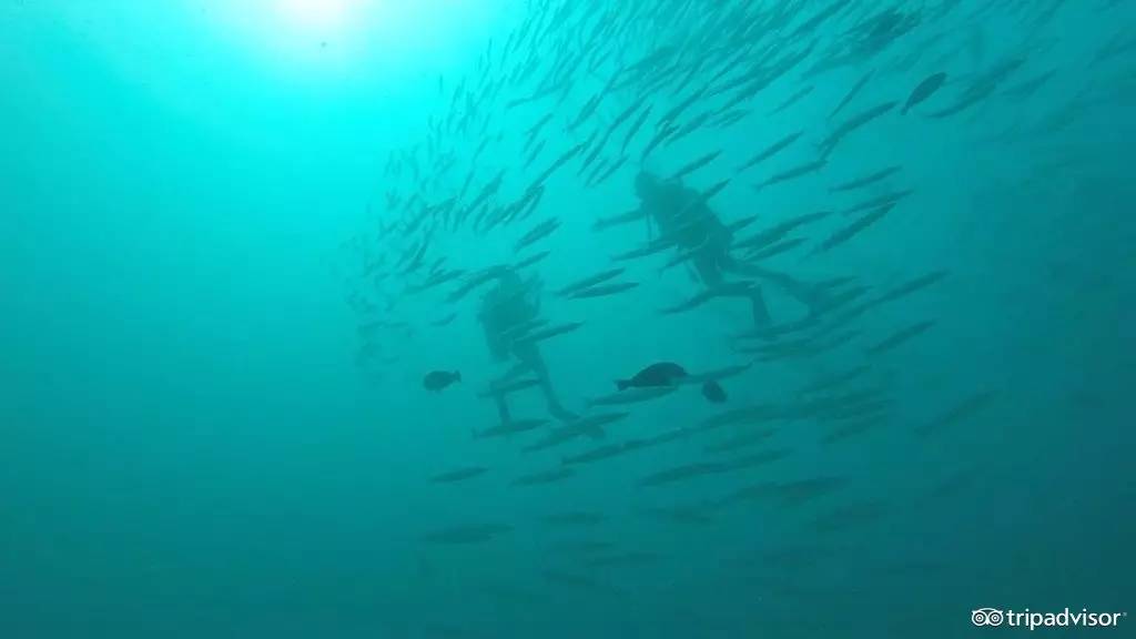 最合适度假的海岛小众,最合适度假的小众海岛