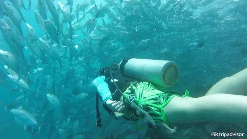 最合适度假的海岛小众,最合适度假的小众海岛