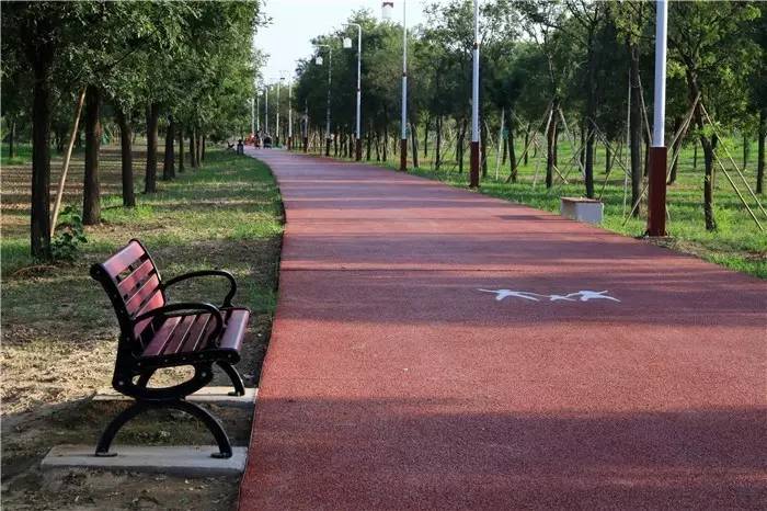 咸阳美丽的渭河湿地公园,咸阳生态湿地公园