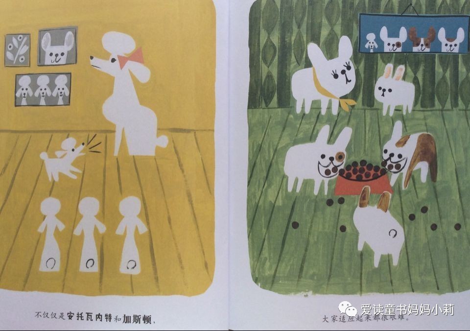 农场主，家庭主妇，音乐家，巴菲特为什么不让孩子继承自己的商业帝国