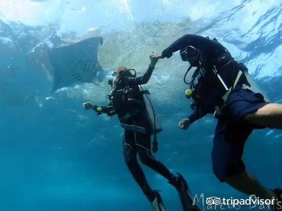 最合适度假的海岛小众,最合适度假的小众海岛
