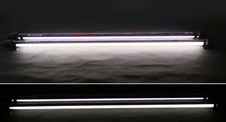 龙鱼须怎么处理,龙鱼侧游怎么办