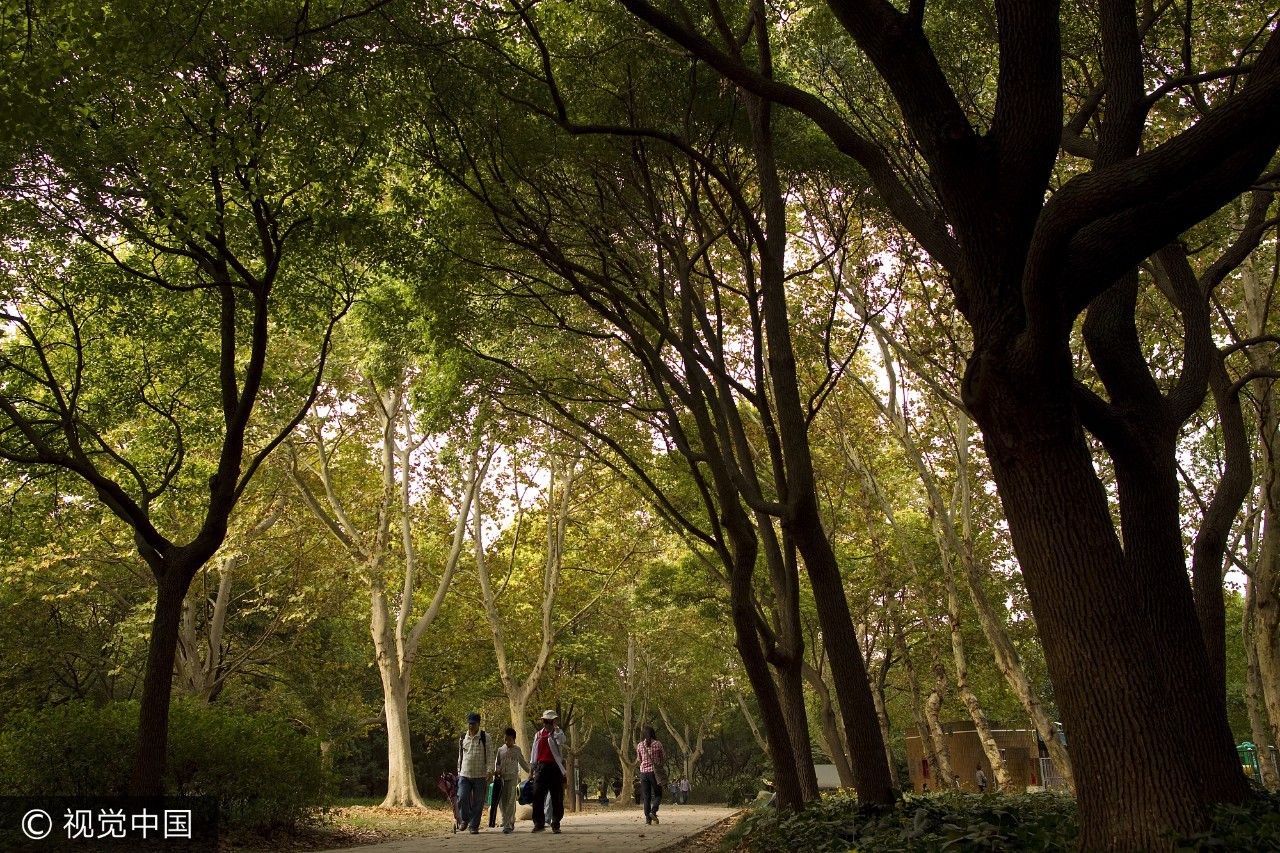 上海附近的免费凉快的地方,上海哪里能够免费乘凉