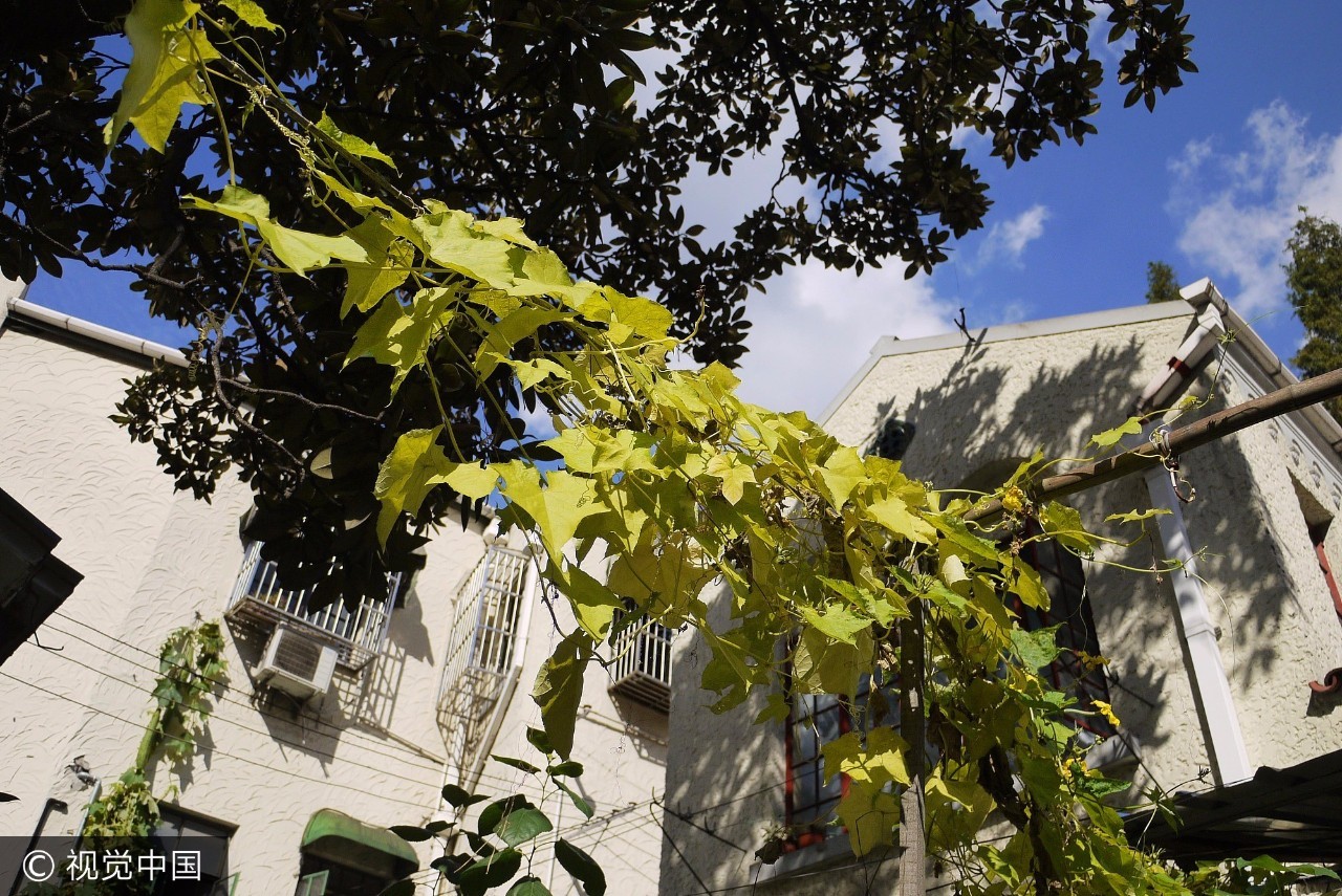 上海附近的免费凉快的地方,上海哪里能够免费乘凉