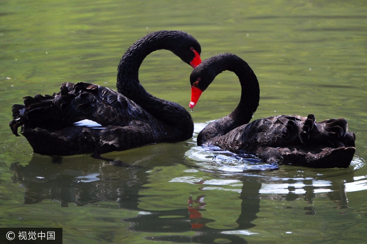 上海附近的免费凉快的地方,上海哪里能够免费乘凉