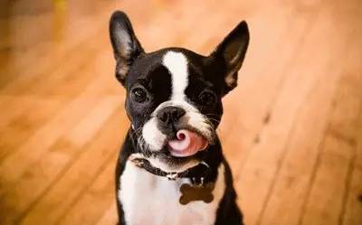 午休绕口令,盘点那些简单又好记的绕口令