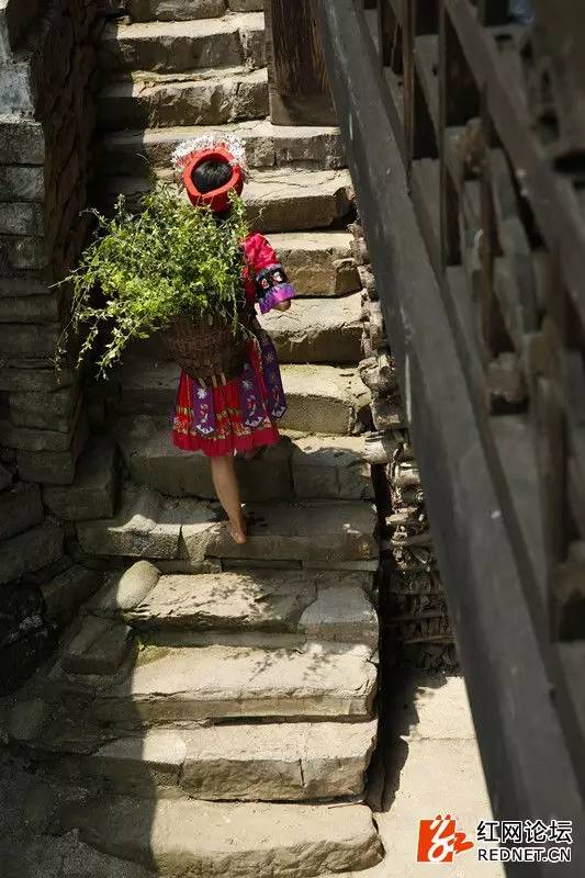 传说中的世外桃源：走进千年土家长寿村