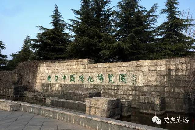 世界最美的郁金香花海,南京郁金香花海