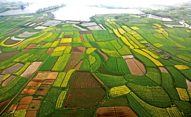循香识味赏景尝鲜｜带你体验“活色生鲜”的江*风汉**情