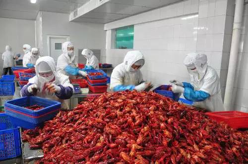 循香识味赏景尝鲜｜带你体验“活色生鲜”的江*风汉**情