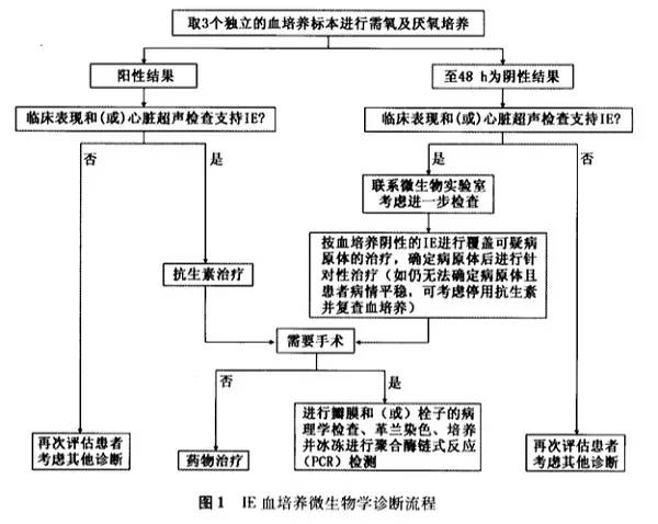 《成人感染性心内膜炎预防、诊断和治疗行家共识》解读