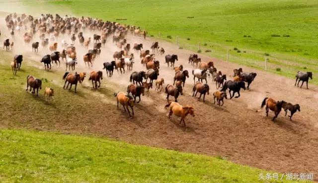 武汉到兰州的高铁票开卖了，一起去西北看看吧！