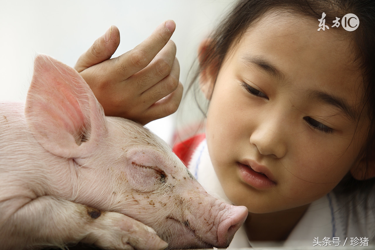 儿童破伤风诊疗指南,破伤风能够使用中兽医疗法吗