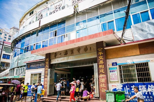 三亚旅游防蚊虫攻略,三亚防宰攻略详细