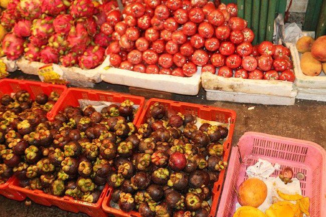 三亚旅游防蚊虫攻略,三亚防宰攻略详细