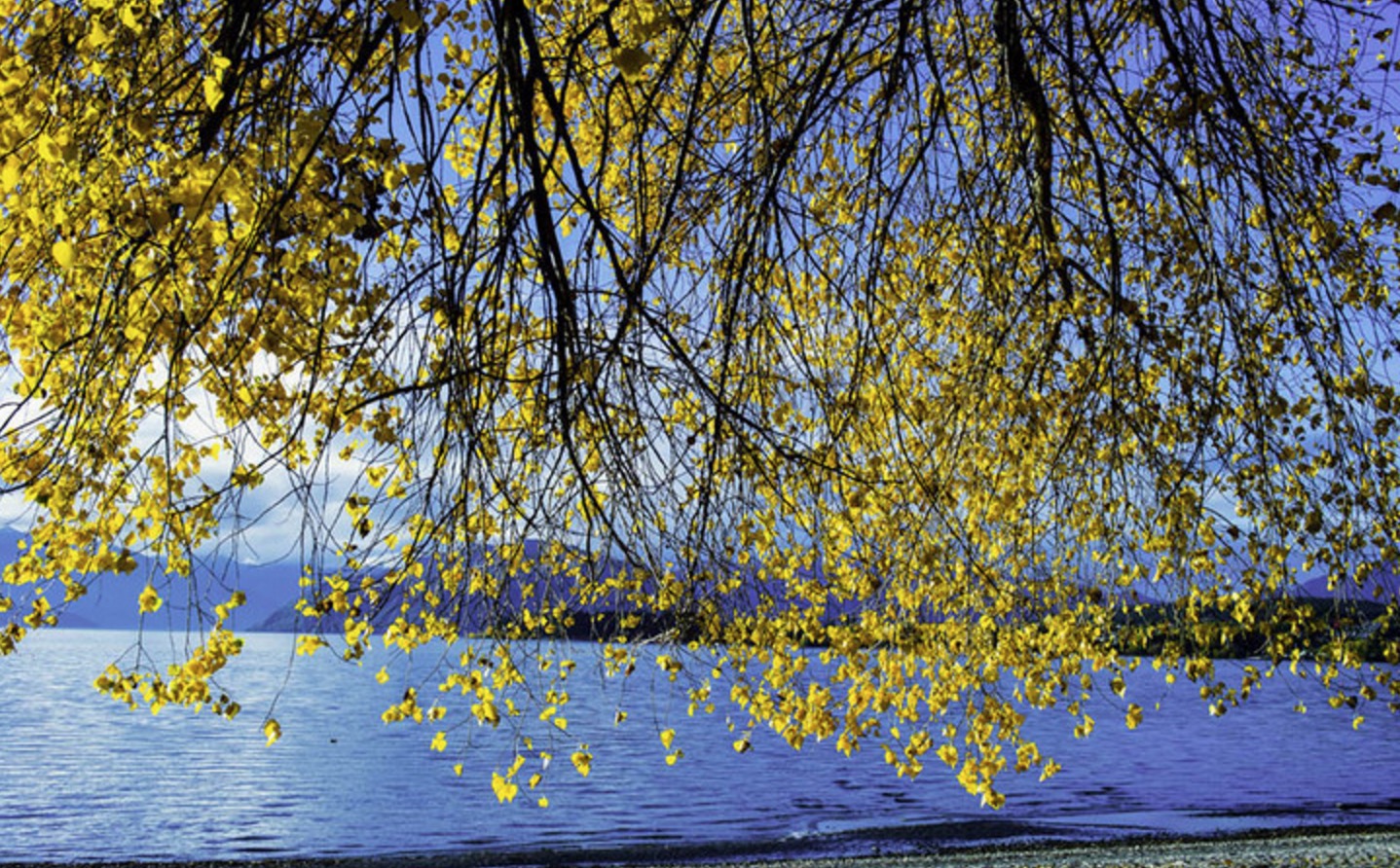 新西兰南岛的冬天,新西兰南岛秋天最佳时间